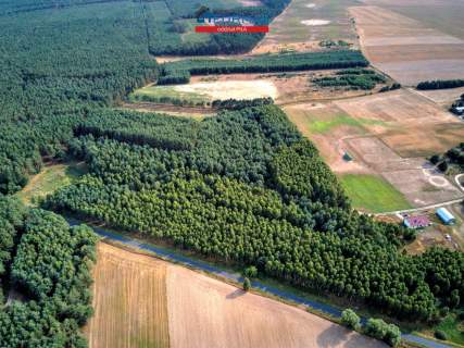 Działka na sprzedaż, 3118 m2, Łomnica