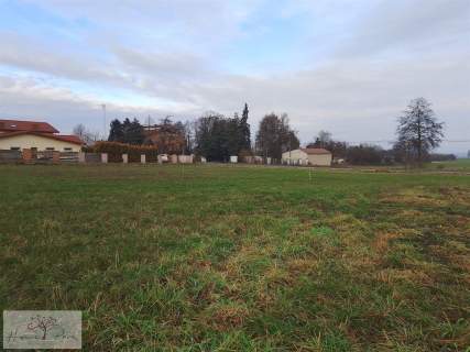 Działka budowlana gm. Pabianice Kudrowice 1250m2