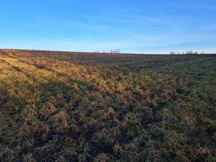 Iwanowice/Sułkowice, okolice Krakowa, 1 ha, budowlane