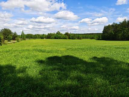 Działki budowlane, las,Mazury, Warunki Zabudowy, Dom do 120m
