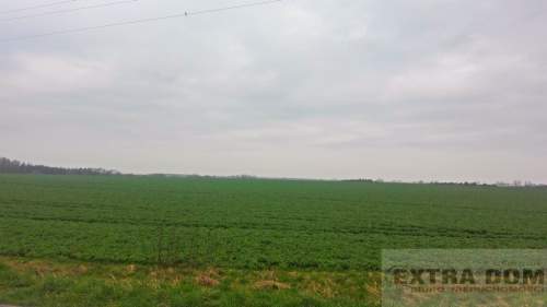 60 ha w jednym rozłogu