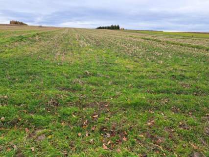 1,27 ha, budowlano-rolne, Stoki/Rzeplin, okolice Krakowa