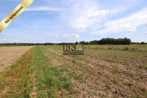 Działka rolna 0.43 ha Dobrzanów gm. Skórzec