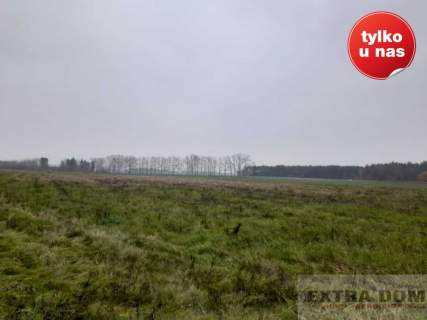Działka rolna na sprzedaż, 85000 m2, Modlimowo