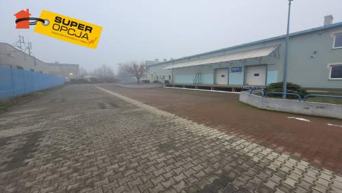 Do wynajęcia magazyn, chłodnia-produkcja - Rybitwy