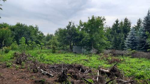 Budowlano usługowa 8 a Gołonóg Dąbrowa Górnicza