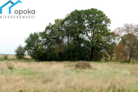Działka usługowa, 8832 m2 przy DK