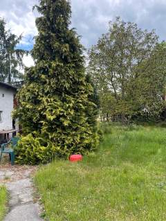 Sprzedam Dom Jednorodzinny w Starokrzepicach