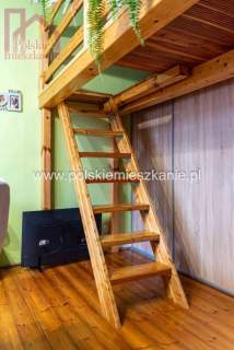 Mieszkanie w sercu Przemyśla, Mnisza