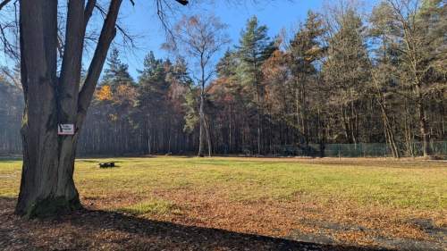 Działka Premium z prywatny lasem - 7,99ha