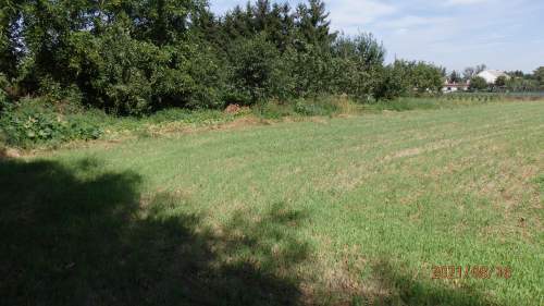 Sprzedam działkę budowlano-Uslugową z Warunkami Zabudowy