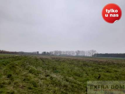 Działka rolna na sprzedaż, 85000 m2, Modlimowo