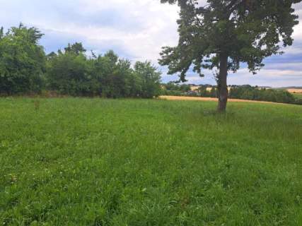Okolice Krakowa, gmina Skała, dz. bud o pow. 9,6 a