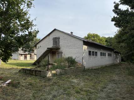 Siedlisko / dom budynki gospodarcze w Sobieszyn, 1h dojazd