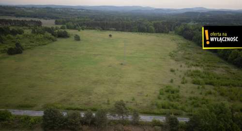 Ziemia inwestycyjna 11,2 ha gmina Piekoszów