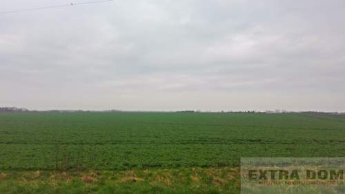 60 ha w jednym rozłogu