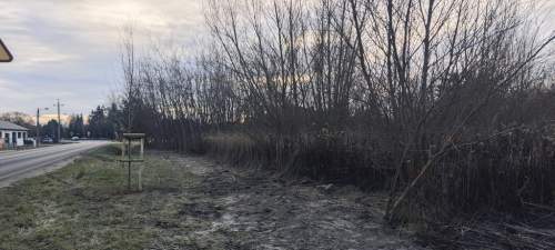 Wierzbin-działka przy szkole pod zab. bliźniaczą.