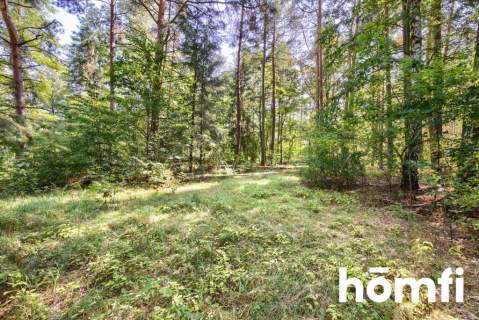 Działki budowlane Murzynowo Leśne 1240m2