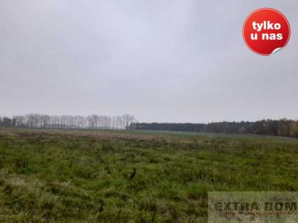 Działka rolna na sprzedaż, 85000 m2, Modlimowo