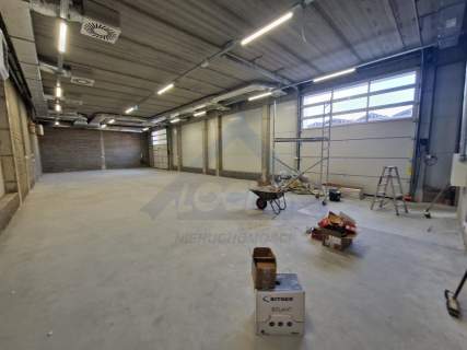 Cały budynek do wynajęcia na Bielanach 773 m2.
