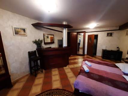 Hotel, sala bankietowa, apartamenty na wynajem, Będzin