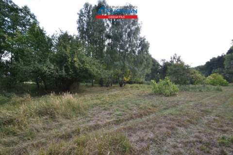 Działka rolna na sprzedaż, 28600 m2, Biała