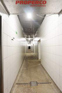 Hala ok 1650 m2 plac 3000 m2, Piekoszów