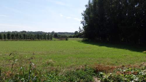 Sprzedam działkę budowlano-Uslugową z Warunkami Zabudowy