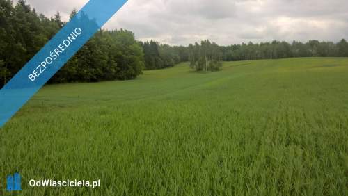 Mazury Stare Juchy działki 3000m2 w okolicach jeziora Garbas...