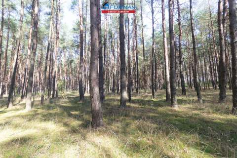 działki na sprzedaż w Rosku gmina Wieleń