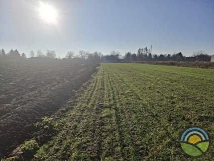 Działka budowlana 2819m2 w Śledziejowicach k/Wieliczki