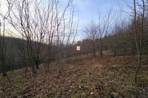 Ujkowice, działka rolno-leśna