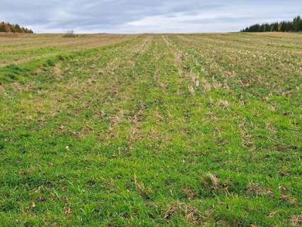 1,27 ha, budowlano-rolne, Stoki/Rzeplin, okolice Krakowa