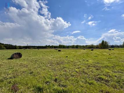 Działki budowlane wśród zieleni   Stary Adamów