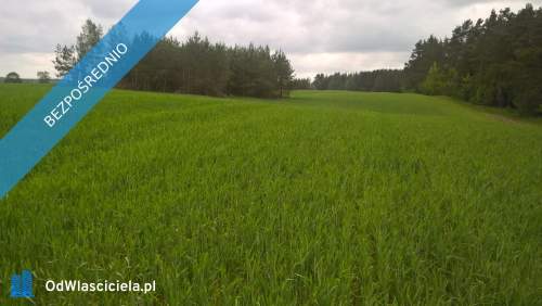 Mazury Stare Juchy działki 3000m2 w okolicach jeziora Garbas...