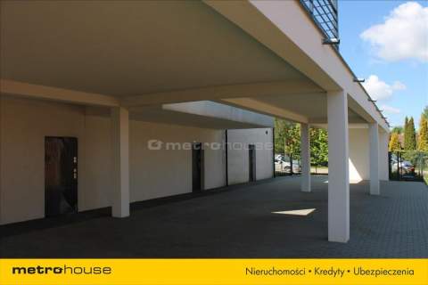 Apartament. Park Krajobrazowy wzniesień Łódzkich