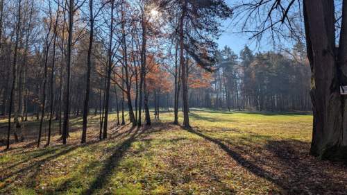 Działka Premium z prywatny lasem - 7,99ha