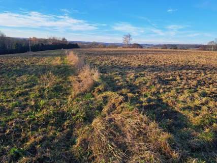 Iwanowice/Sułkowice, okolice Krakowa, 1 ha, budowlane