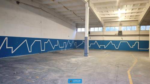 Magazyn 500 m2 z placem 2000 m2