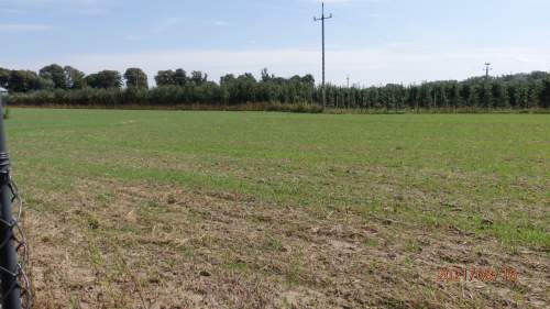 Sprzedam działkę budowlano-Uslugową z Warunkami Zabudowy