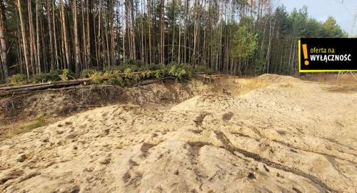 Działka blisko lasu.