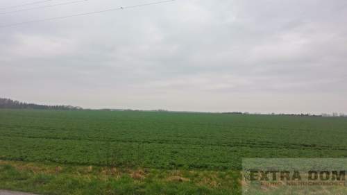 60 ha w jednym rozłogu
