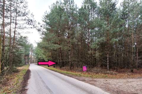 Działka leśna 6000 m2 w Mejznerzynie