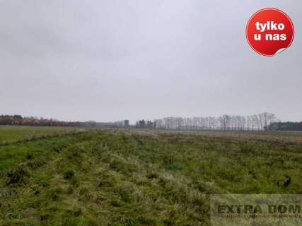 Działka rolna na sprzedaż, 85000 m2, Modlimowo