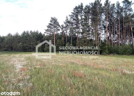 Urokliwa działka niedaleko jeziora Niesiołowice
