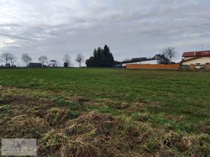 Działka budowlana gm. Pabianice Kudrowice 1250m2