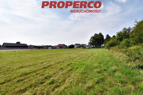Działka pod Kielcami z MPZP, 9051 m2, Radlin,Górno
