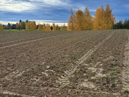 Szczodrkowice, gmina Skała, 59 arów, bud-rolne