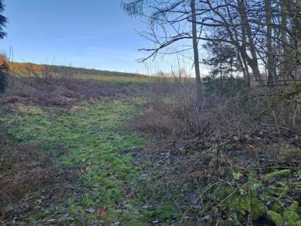 Iwanowice/Sułkowice, okolice Krakowa, 1 ha, budowlane