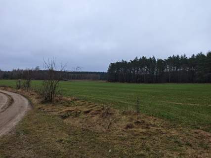 Działki budowlane, las,Mazury, Warunki Zabudowy, Dom do 120m